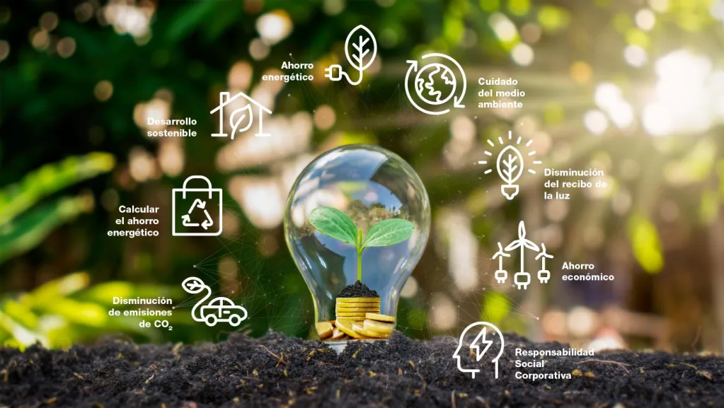 Infografía eficiencia energética